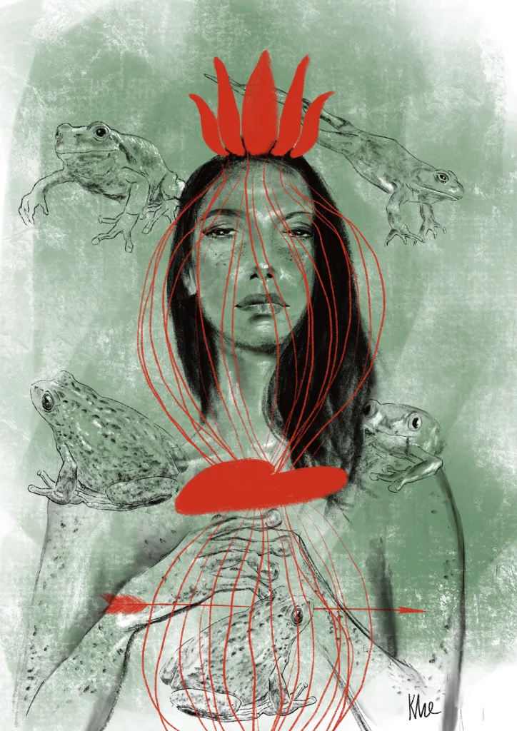 Подробнее о статье The Frog Princess