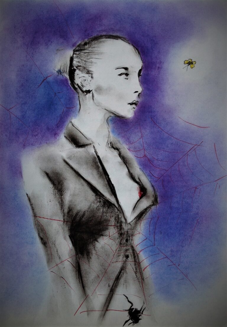 Подробнее о статье Female spider